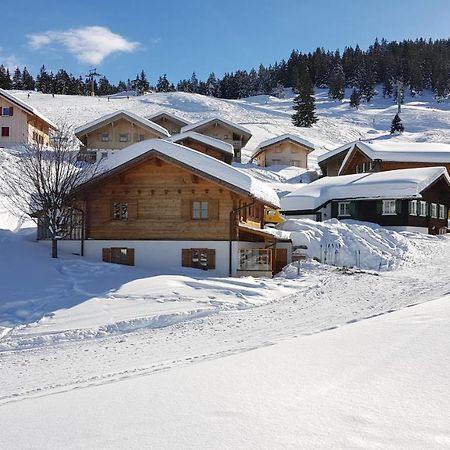 Alpenchalet Garfrescha Villa Sankt Gallenkirch Esterno foto